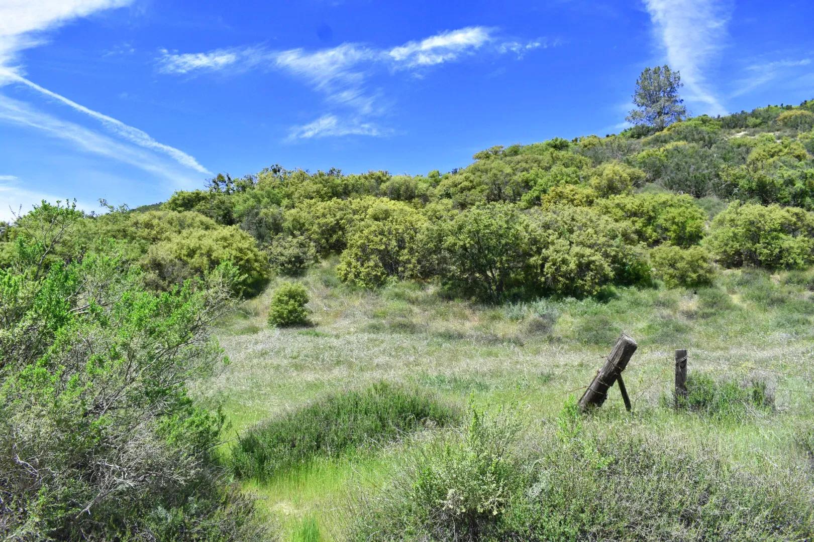 Lockwood San Ardo Road 6