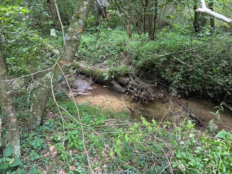 10+/-acres Unrestricted Wooded property nestled on the scenic Cumberland Plateau