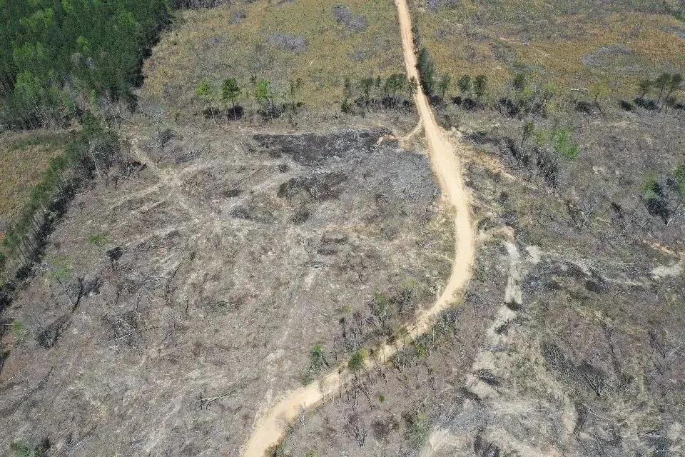 49038148-27