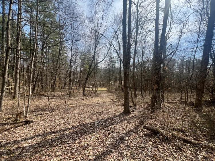 Fairview Rd - 66 acres - Vinton County