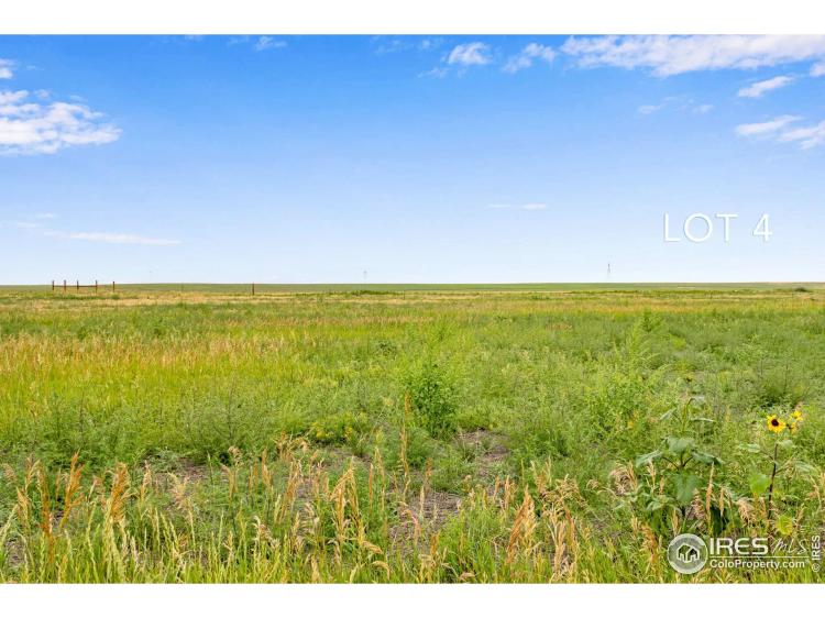 4 TBD County Road 21 Carr CO 80612, Weld, CO
