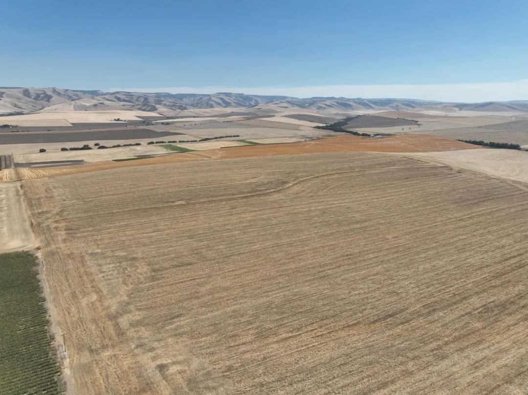 Listing #19739 - 794.77 acres in Umatilla County, OR