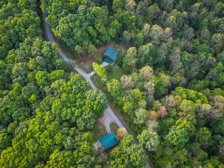 Mature Timber Hunting Farm With Cabin