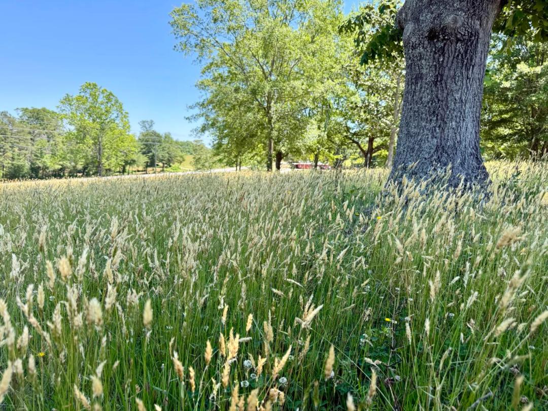 6.42 Acres at 1301 Jameson Road