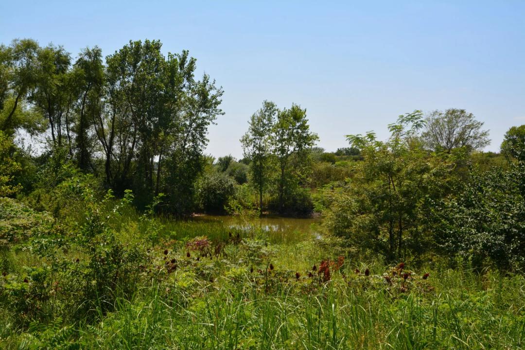 Raeta Estates Lot 9