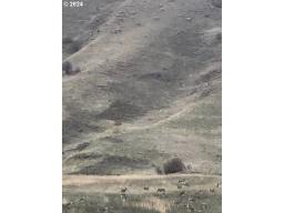 49188768-37