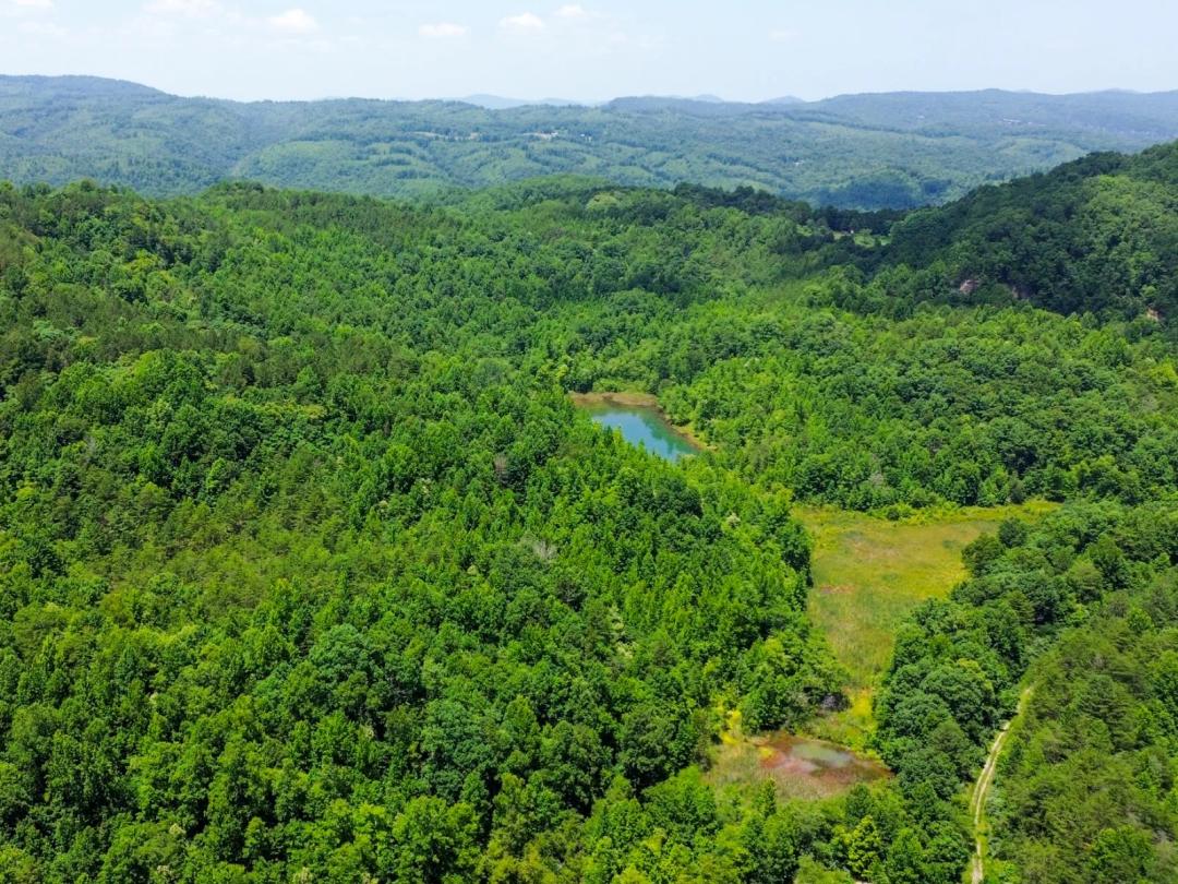Tract 5 White Oak Mountain Rec Property