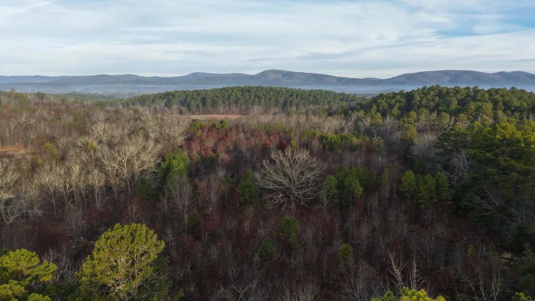 16.06 Acres [Tract 3] in Montgomery County, AR