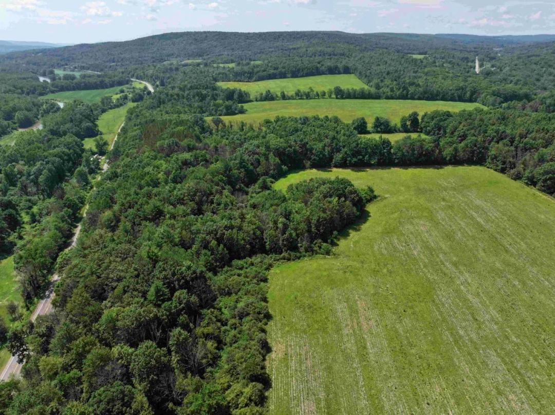 13.85 acre Building Lot and Recreational Land with Owner Financing in Belfast NY CR 17 Lot 6