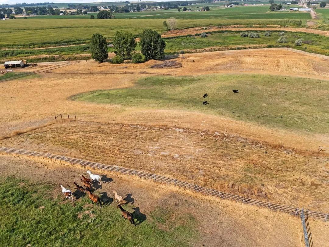 Equestrian Estate Lot