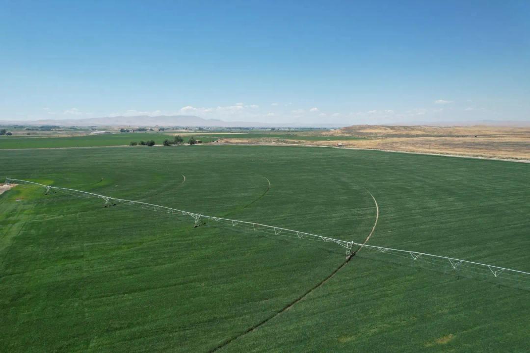North Vale Pivot Farm