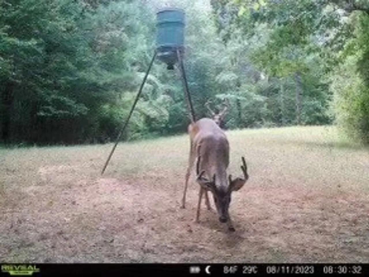 49283733-26