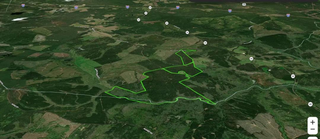 638 Undeveloped Acres in Taliaferro County, GA