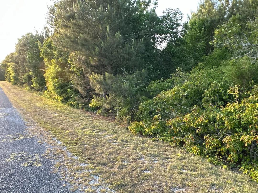 Lot 7 County Road 520