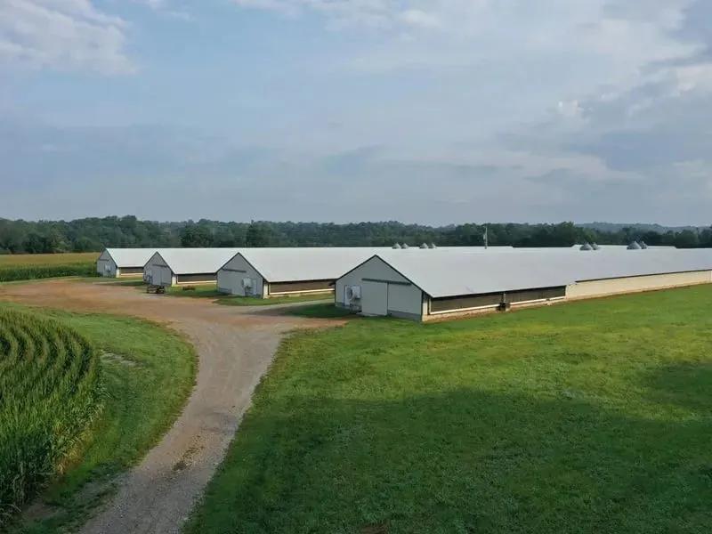 Stoney Creek Broiler Farm and Cropland – Campbellsville, Kentucky
