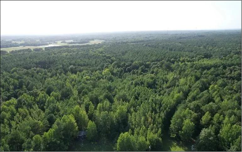 9 Acres in Yalobusha County in Oakland, MS 