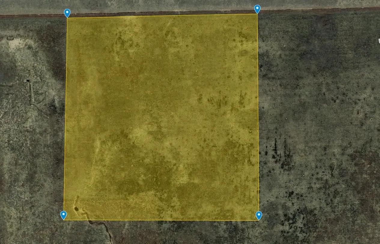 L11751-1 (4)