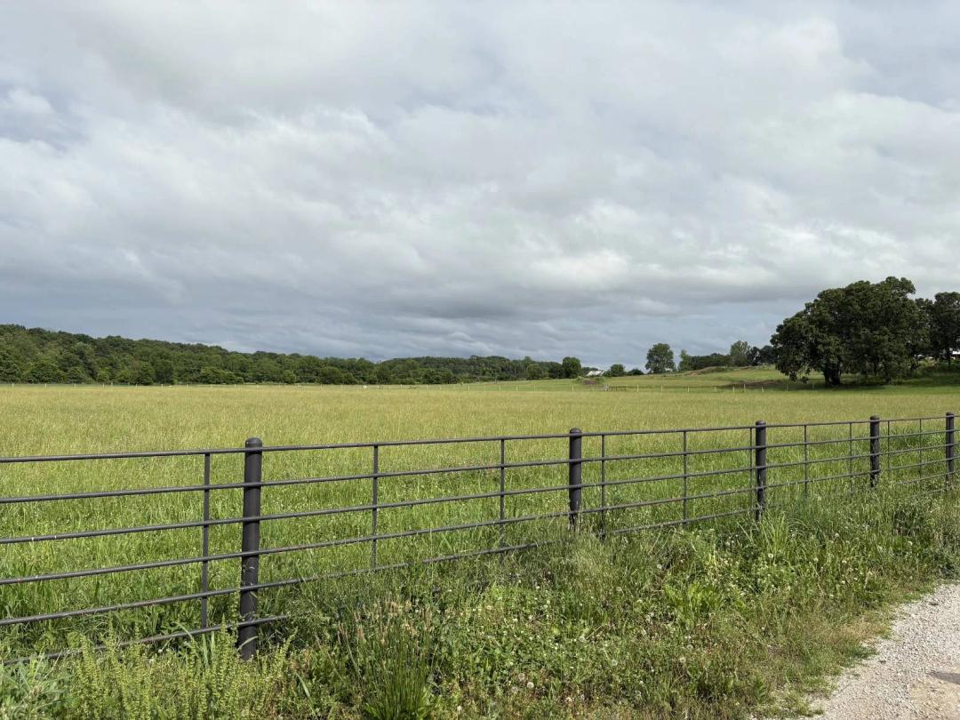 Prime Building Site Just Minutes from Town