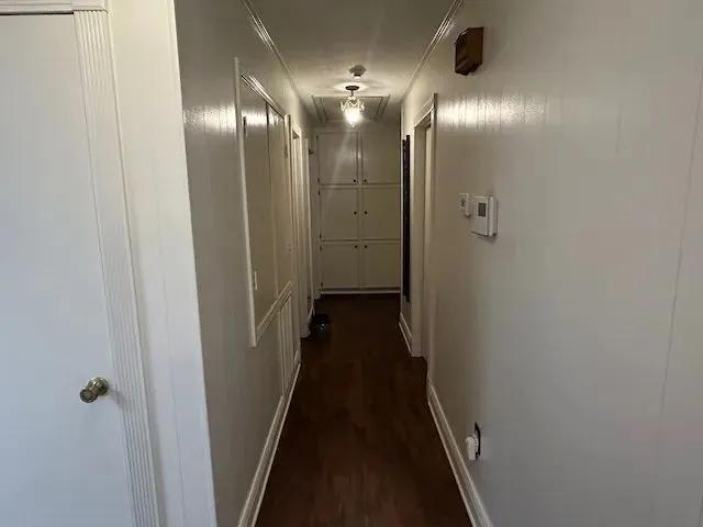 49415709-6
