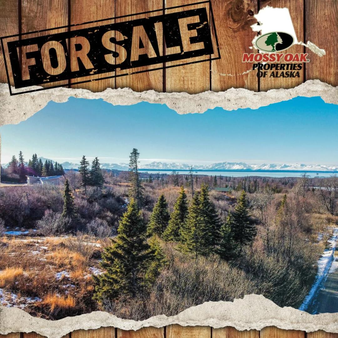 BIG LOT! 2.23 Acres View of mountains and Cook inlet in Nikiski.