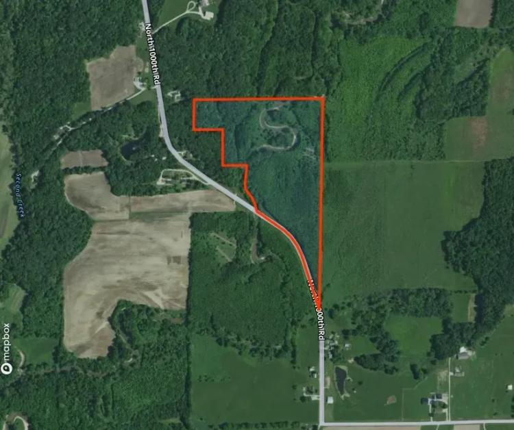 32 acres in Effingham County!