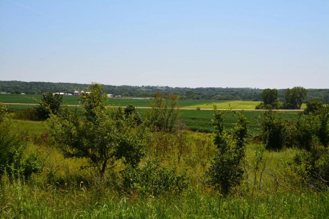 Raeta Estates Lot 8