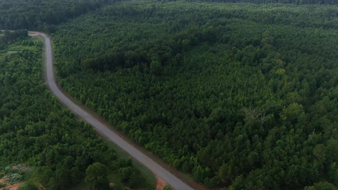 62 Acres in Lincoln Parish, LA