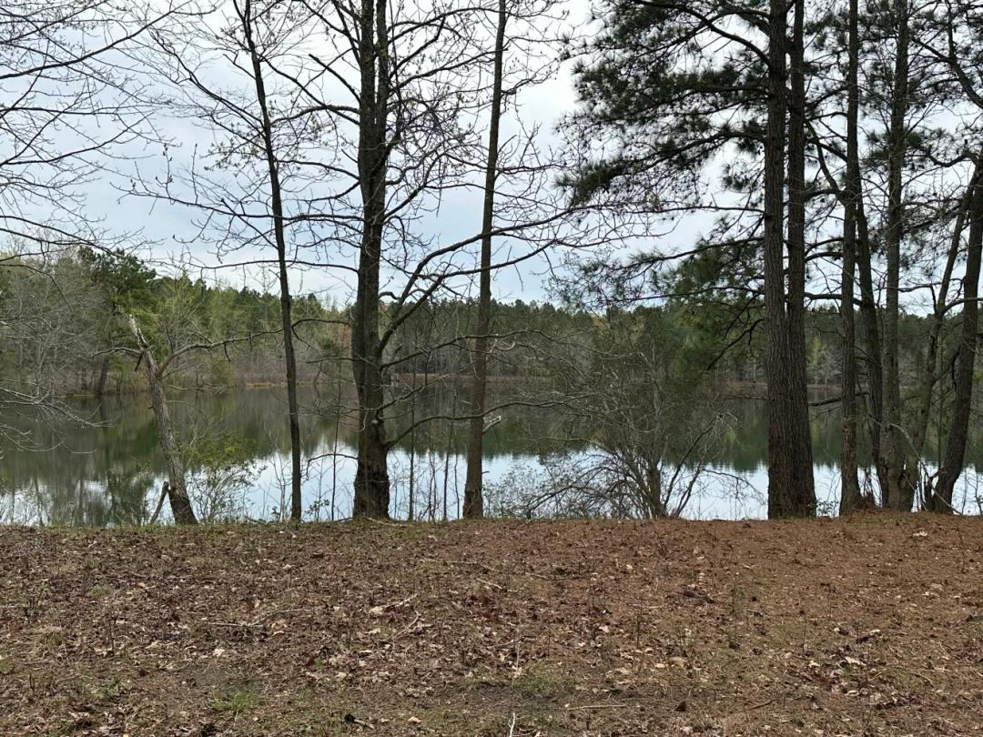 31.30 Acres at 0 Old Bradley Road