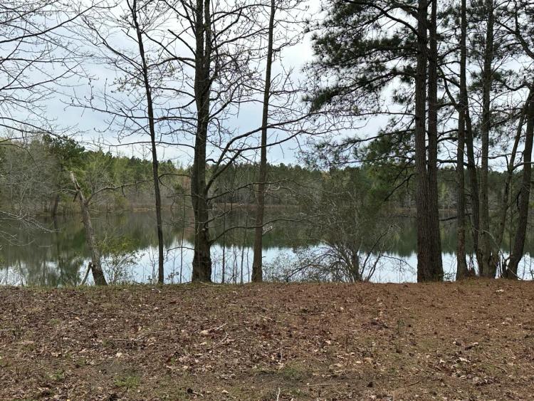 31.30 Acres at 0 Old Bradley Road
