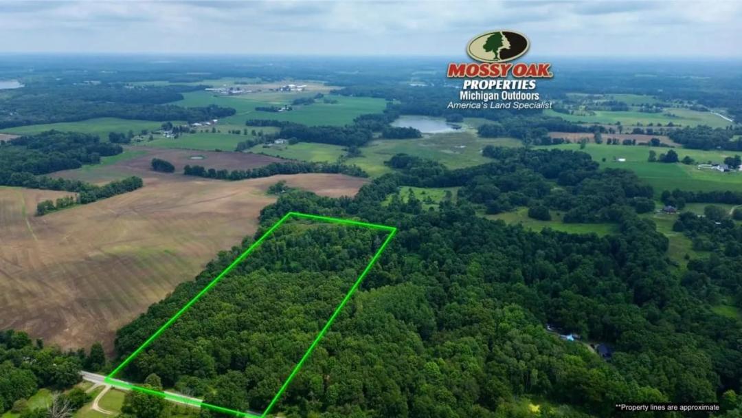 14.29 +/- Acres / Barry County, MI / Delton, MI / Recreational & Building / Land For Sale