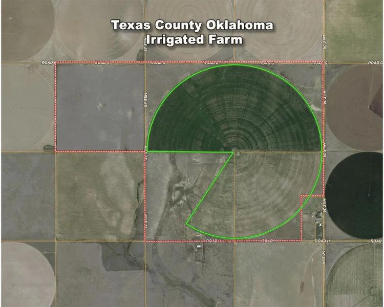 780 Acre Clay Farm For Sale