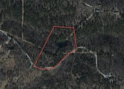 49504720-34