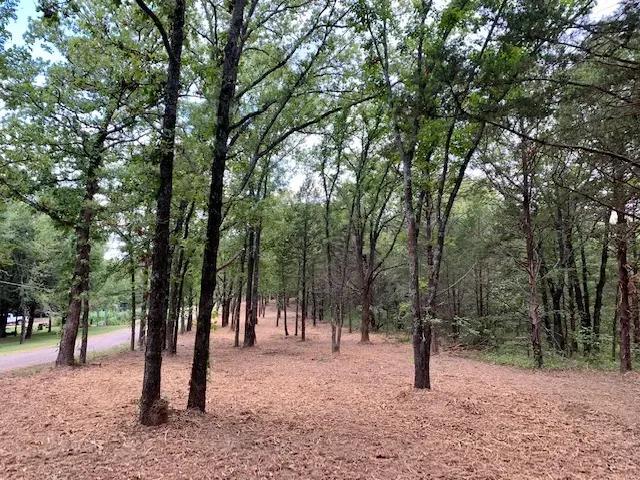 ONE ACRE HOMESITES - TISHOMINGO, OK