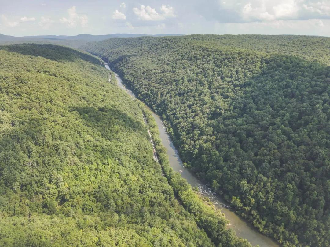 70 Acres in Morgan County, TN 