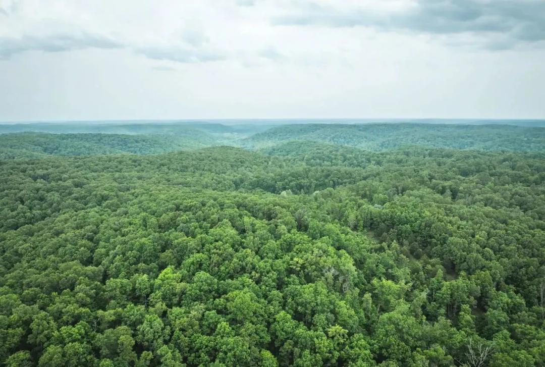 Pine Hollow Sportsmen's Retreat