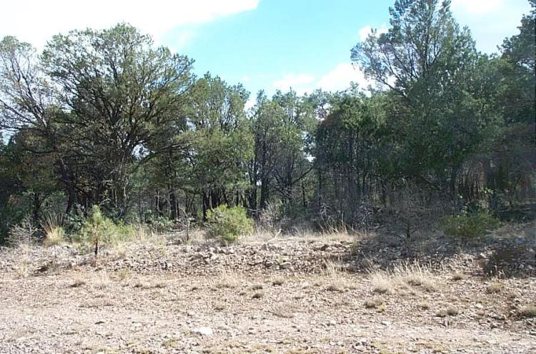 Corner lot with standby Water * Timberon New Mexico