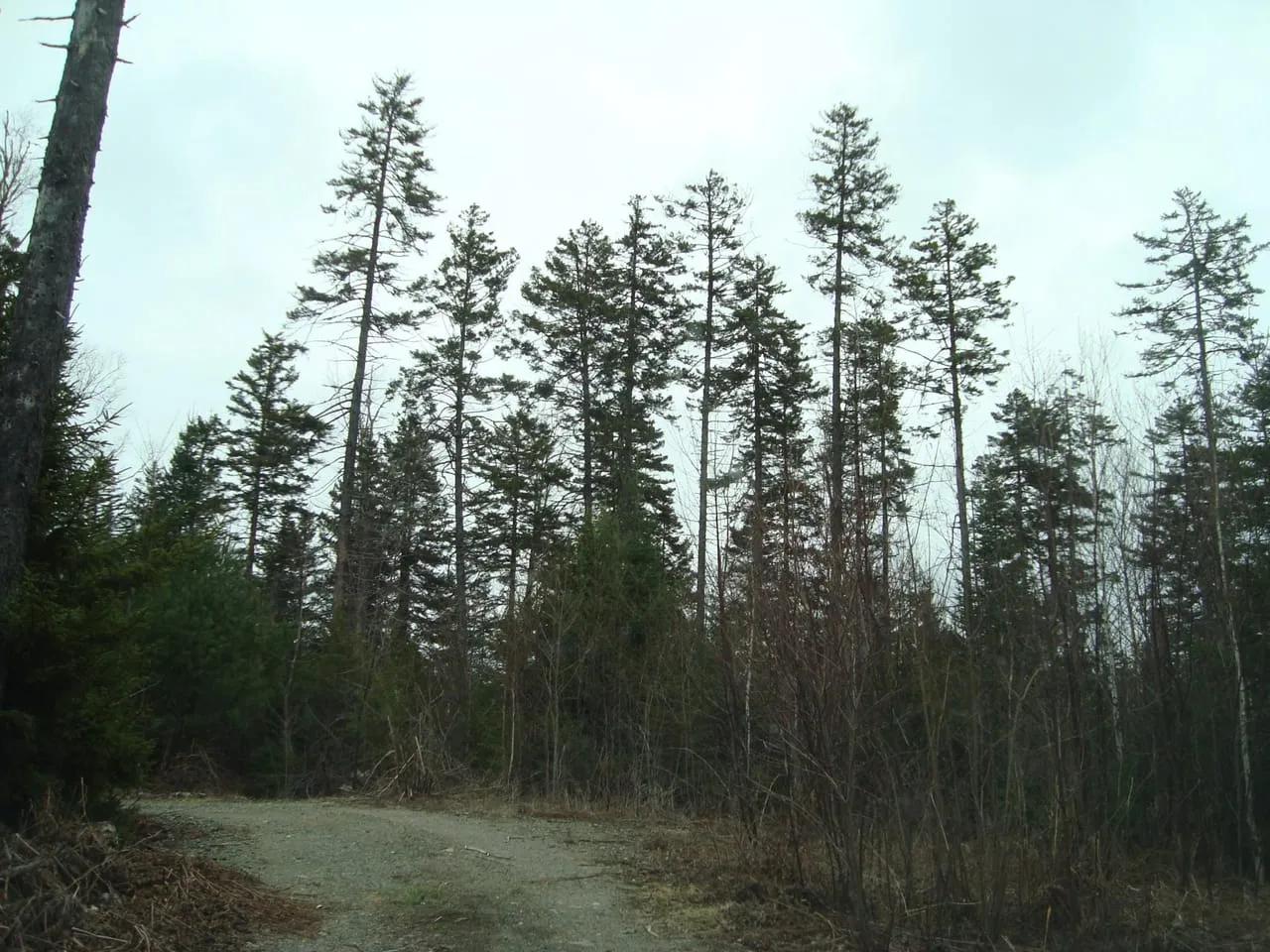 49567521-7