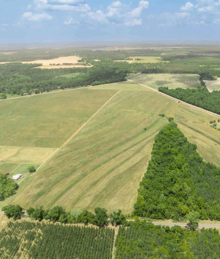 119± Acres of Irrigated Cropland in Gadsden and Decatur Counties