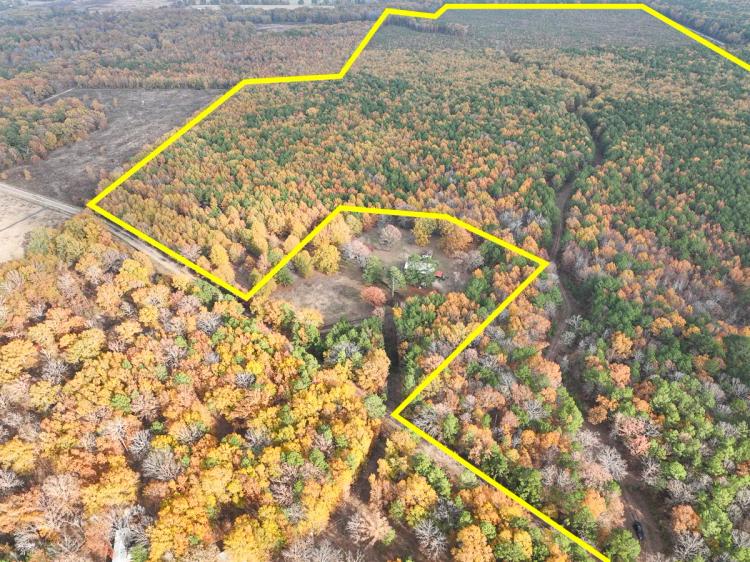 265 Acres | CR 4223 | Tract 1005