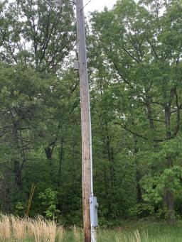 49581118-1