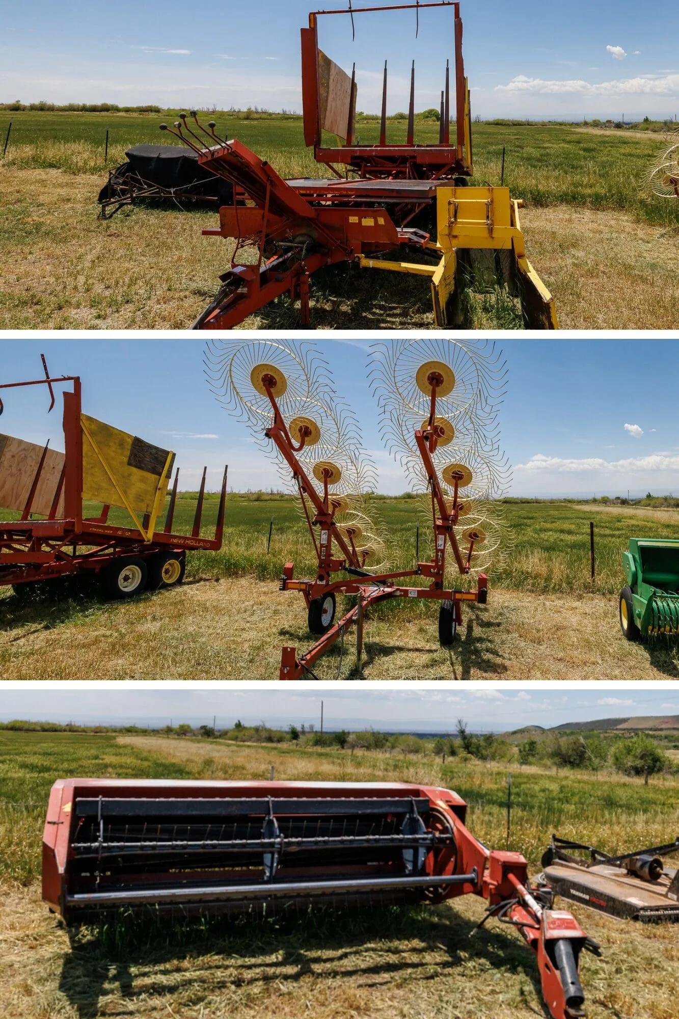 49599789-45