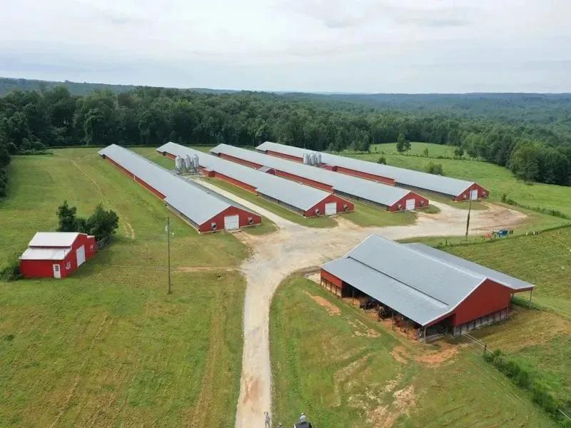 Seven Shades Broiler Farm – Four House Farm in Etowah County, Alabama