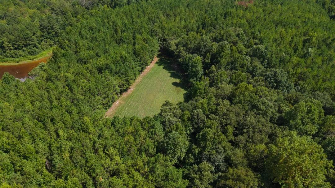 91.2 Acres in Crenshaw County, AL 
