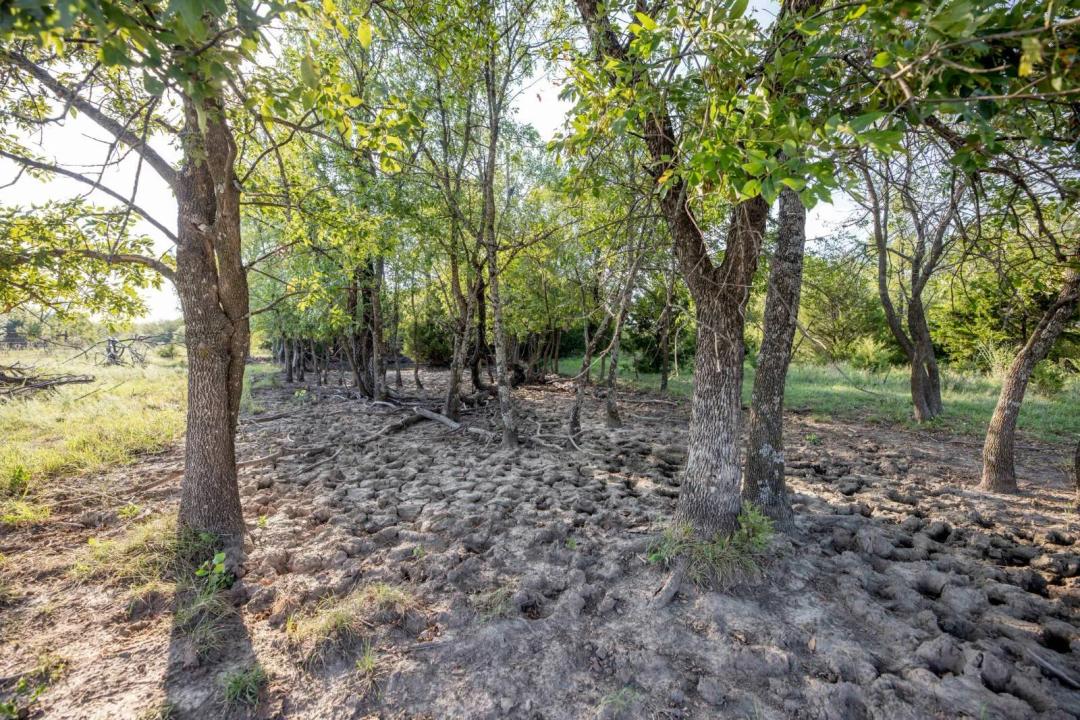 45.6+/- Acres With Creek