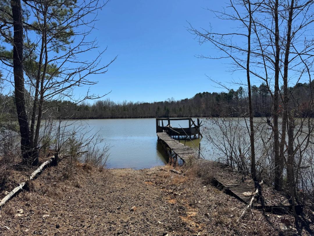 257.8 Acres in Tippah County, MS 