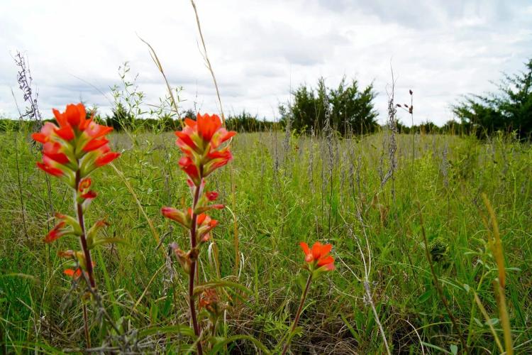Lincoln County, Oklahoma Hunting & Recreational Land for Sale