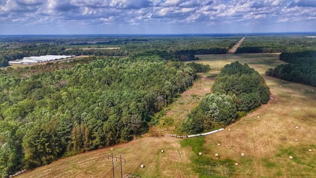 UPDATED!!  18 Acres of Recreational Land for Sale in Bladen County, NC!