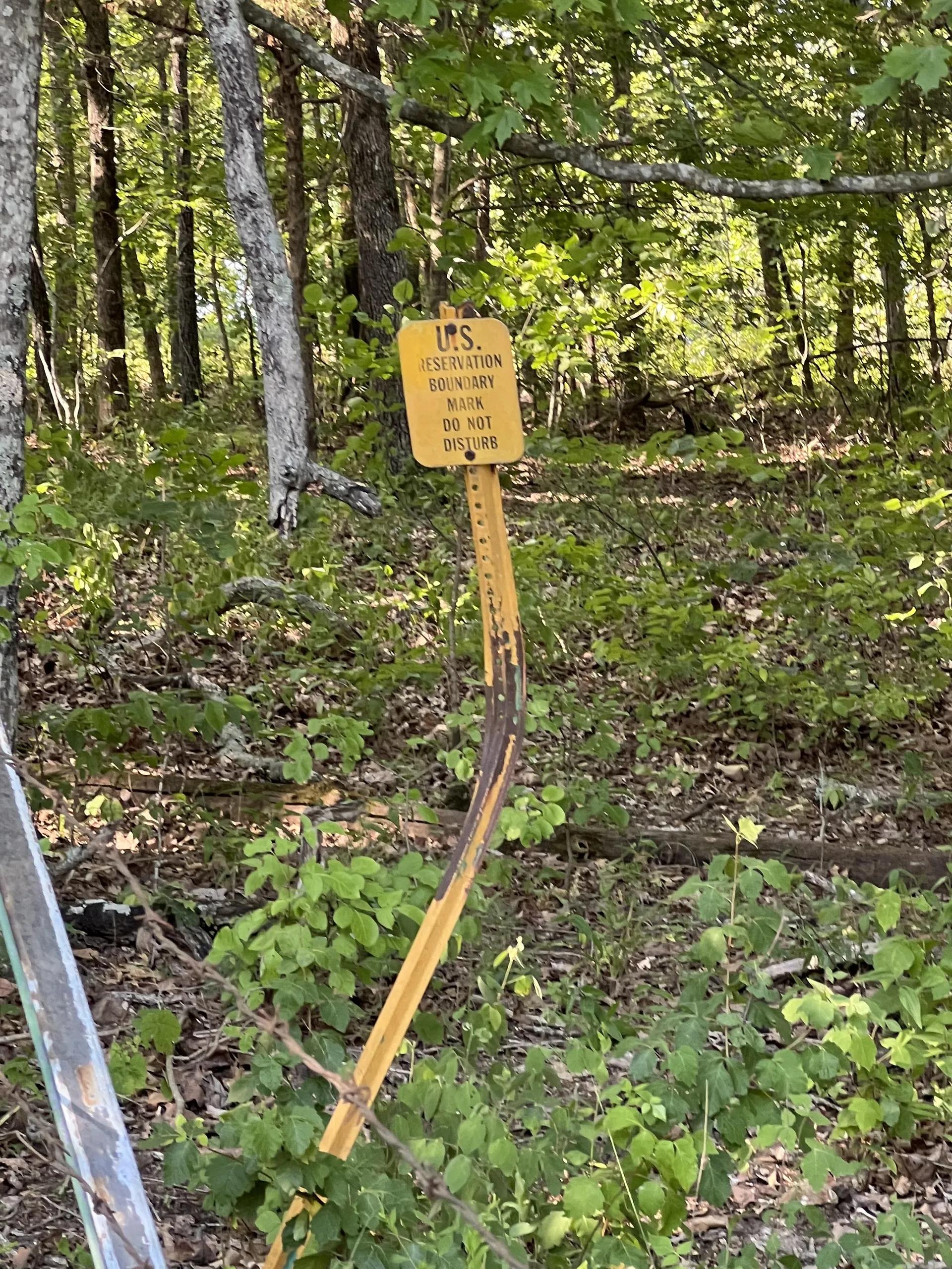 49730694-92