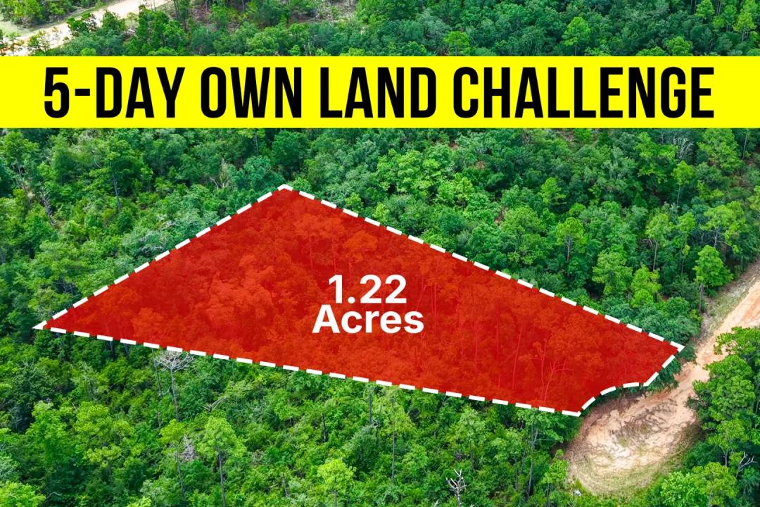 Own a 1.22-Acre Peaceful, Wooded Lot in FL - Owner Financing