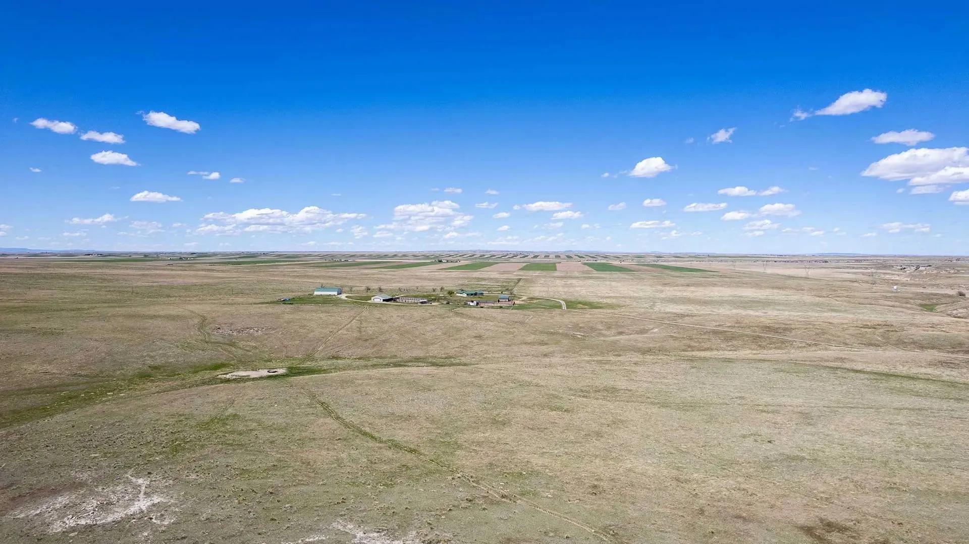 49773776-13